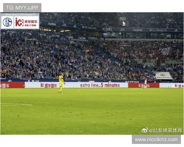 提升你的体育竞猜体验，b体育中文站提供专业分析和实时比分数据解析