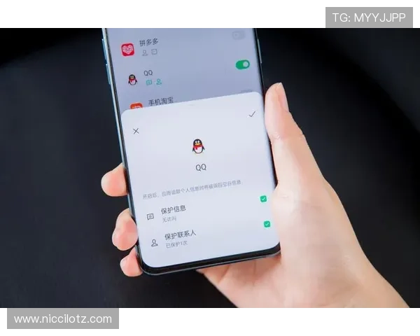 球探体育即时比分旧版的安全性与隐私保护措施，保障用户个人信息安全的详细介绍