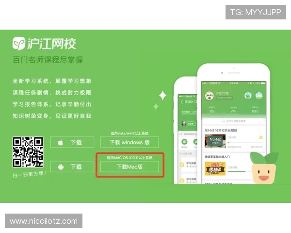 满冠客户端如何快速下载安装并解决常见登录问题的详细指南