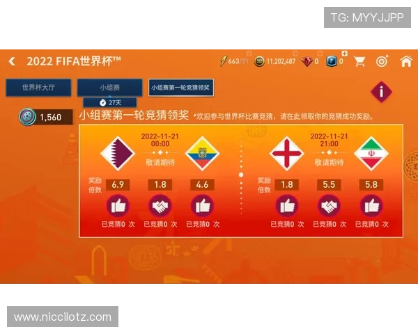 世界杯竞猜怎么玩才能合理安排投注，风险控制与收益最大化技巧